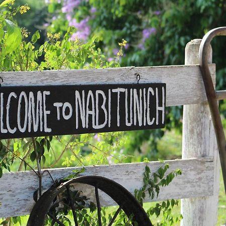 Nabitunich Villa San Ignacio Bagian luar foto